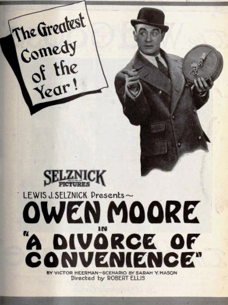 Poster of A Divorce of Convenience