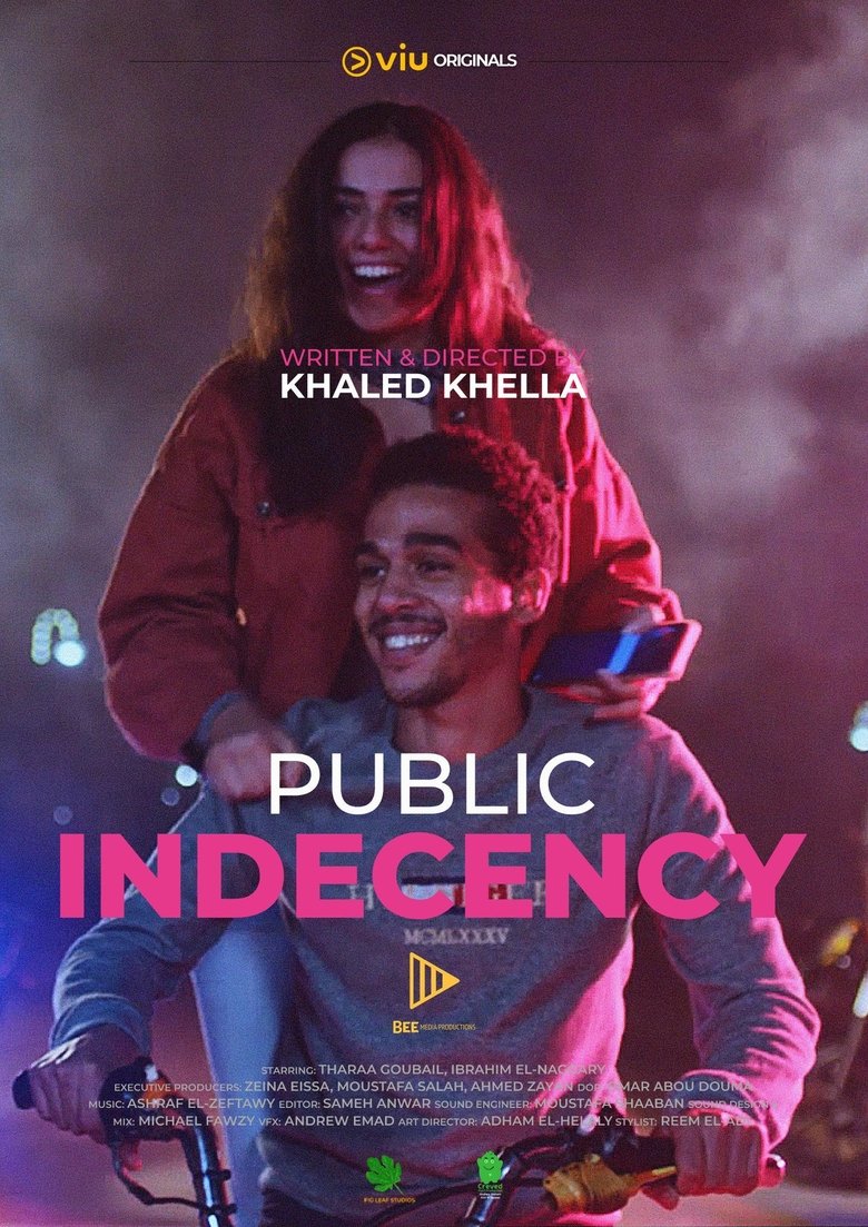 Poster of Public Indecency