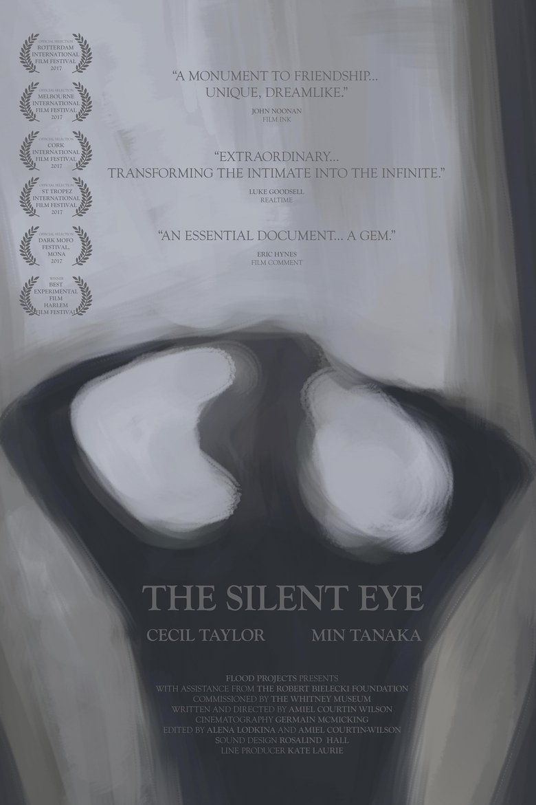 Poster of The Silent Eye