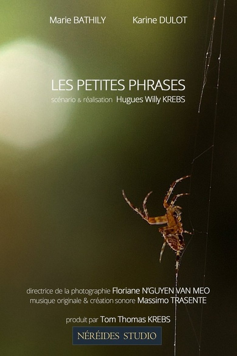 Poster of Les petites phrases