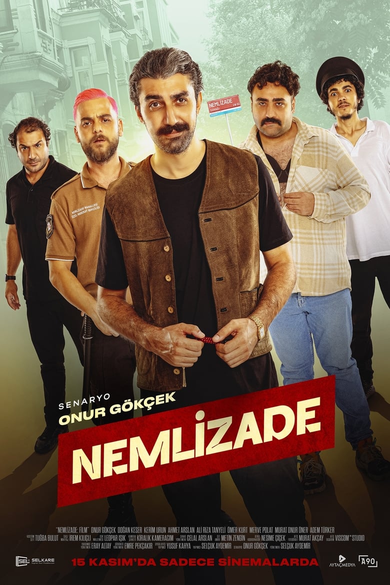 Poster of Nemlizade