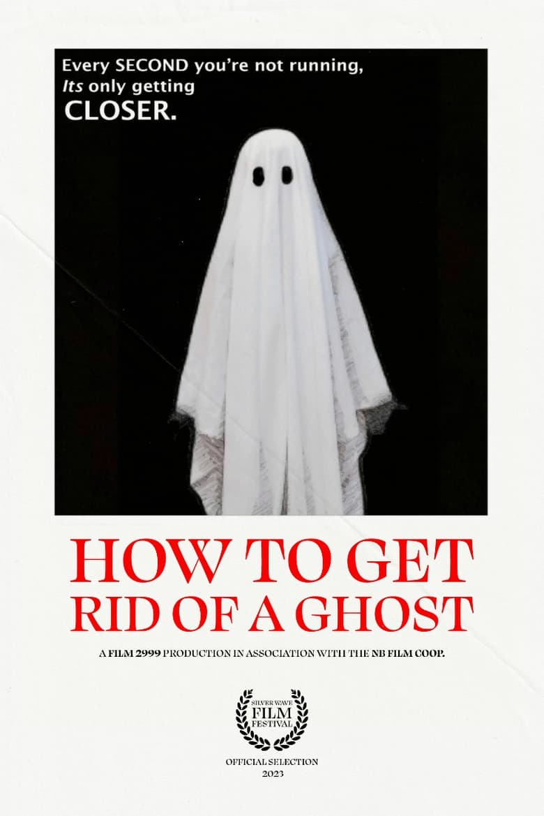 Poster of How To Get Rid of a Ghost