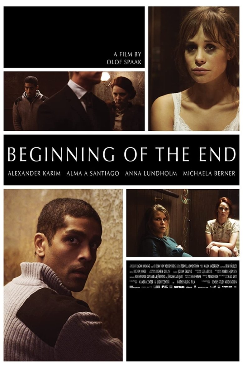 Poster of Beginning of the End