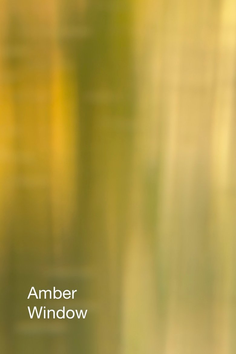 Poster of Amber Window