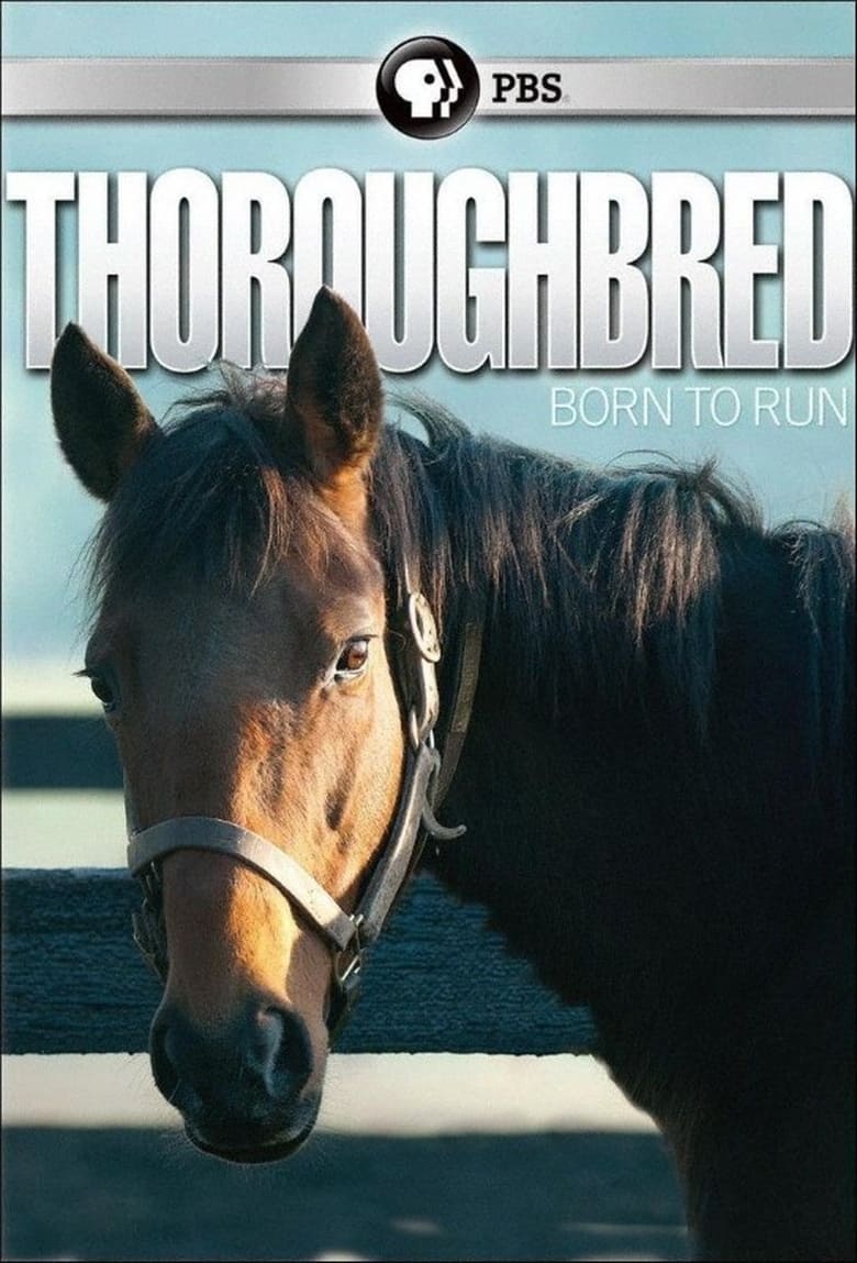 Poster of Thoroughbred: Born to Run