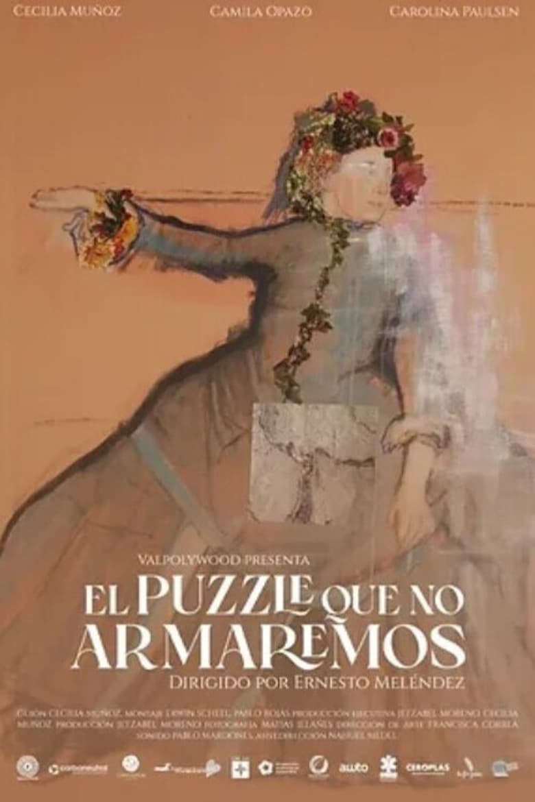 Poster of El puzzle que no armaremos