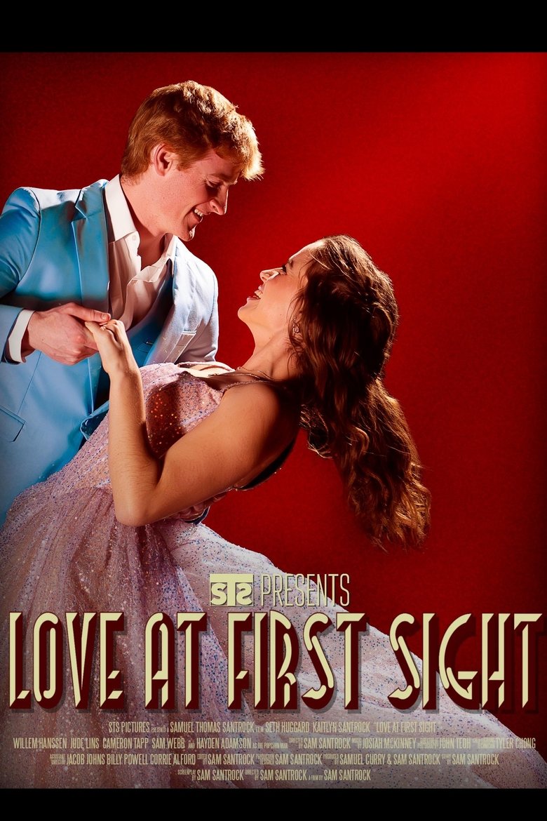 Poster of Love at First Sight