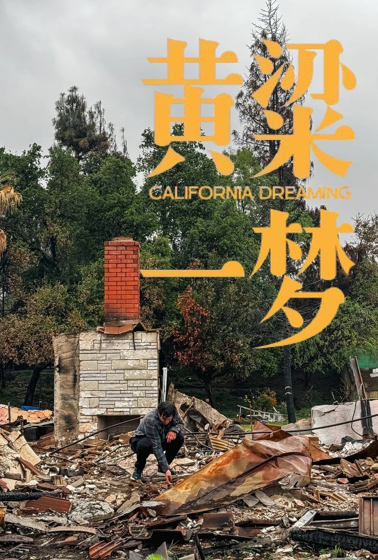 Poster of 美洲大宝荐：黄粱一梦