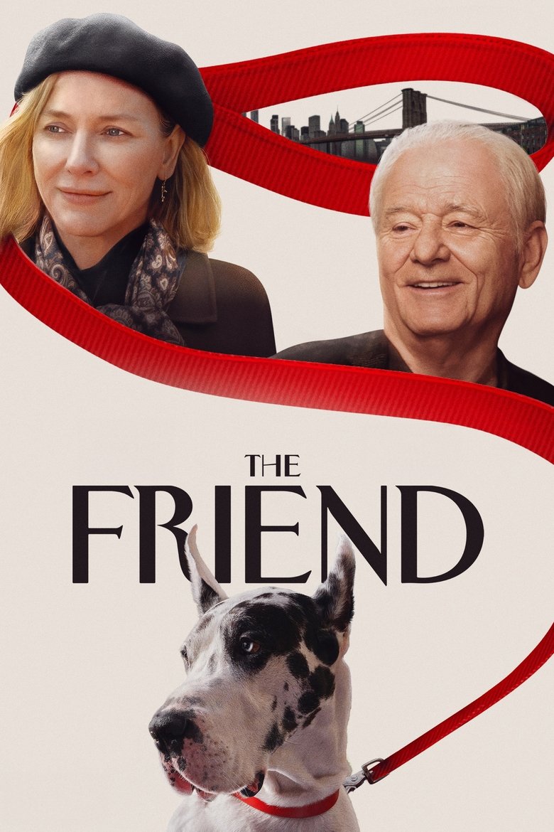 Poster of The Friend
