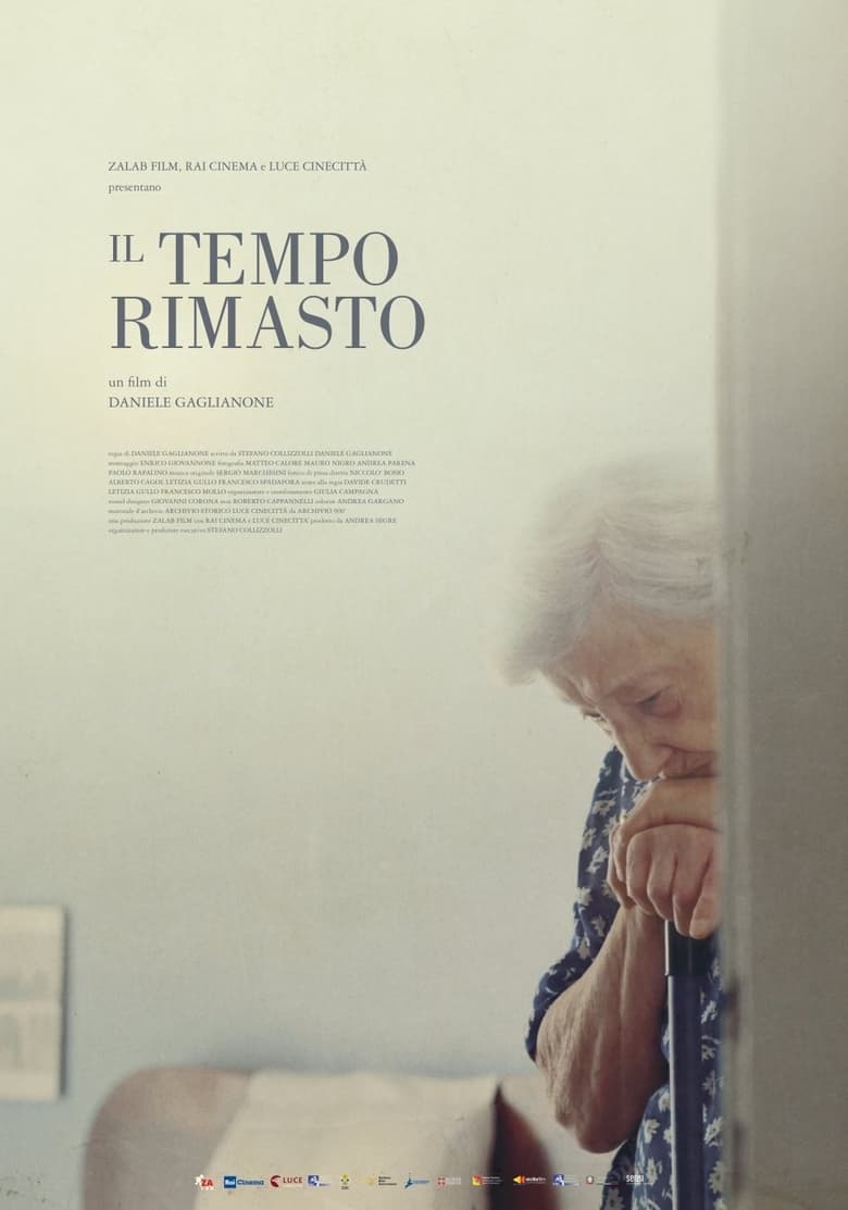 Poster of Il tempo rimasto