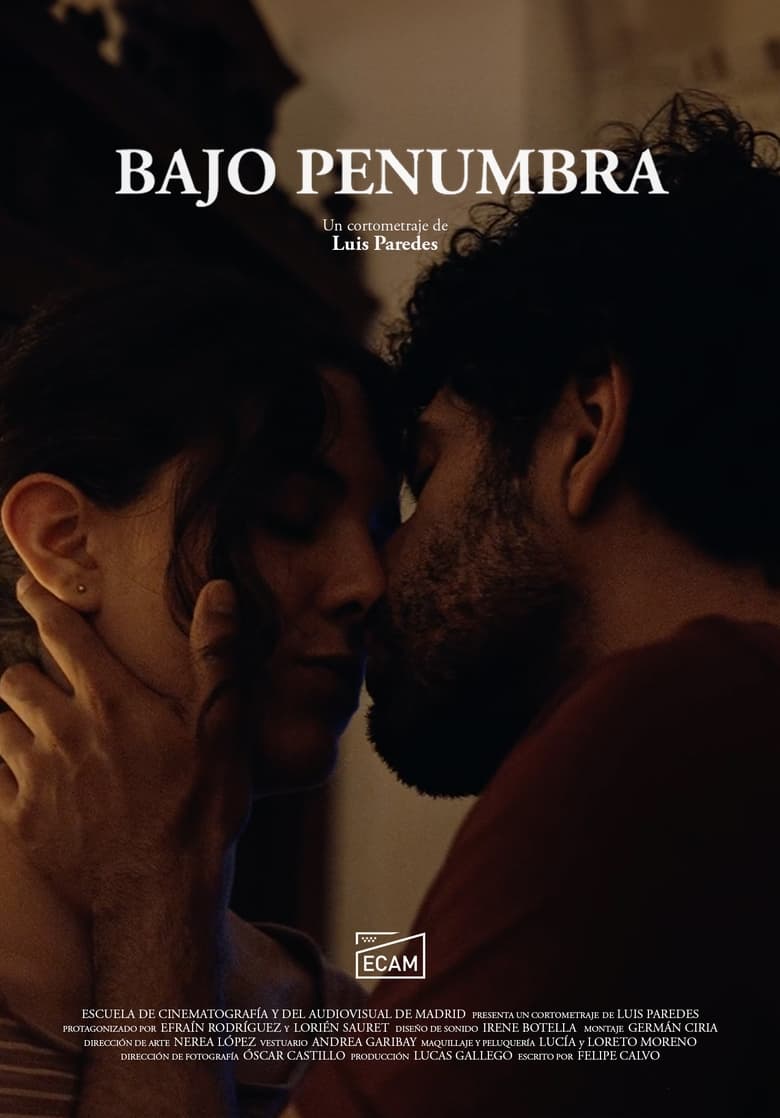 Poster of Bajo Penumbra