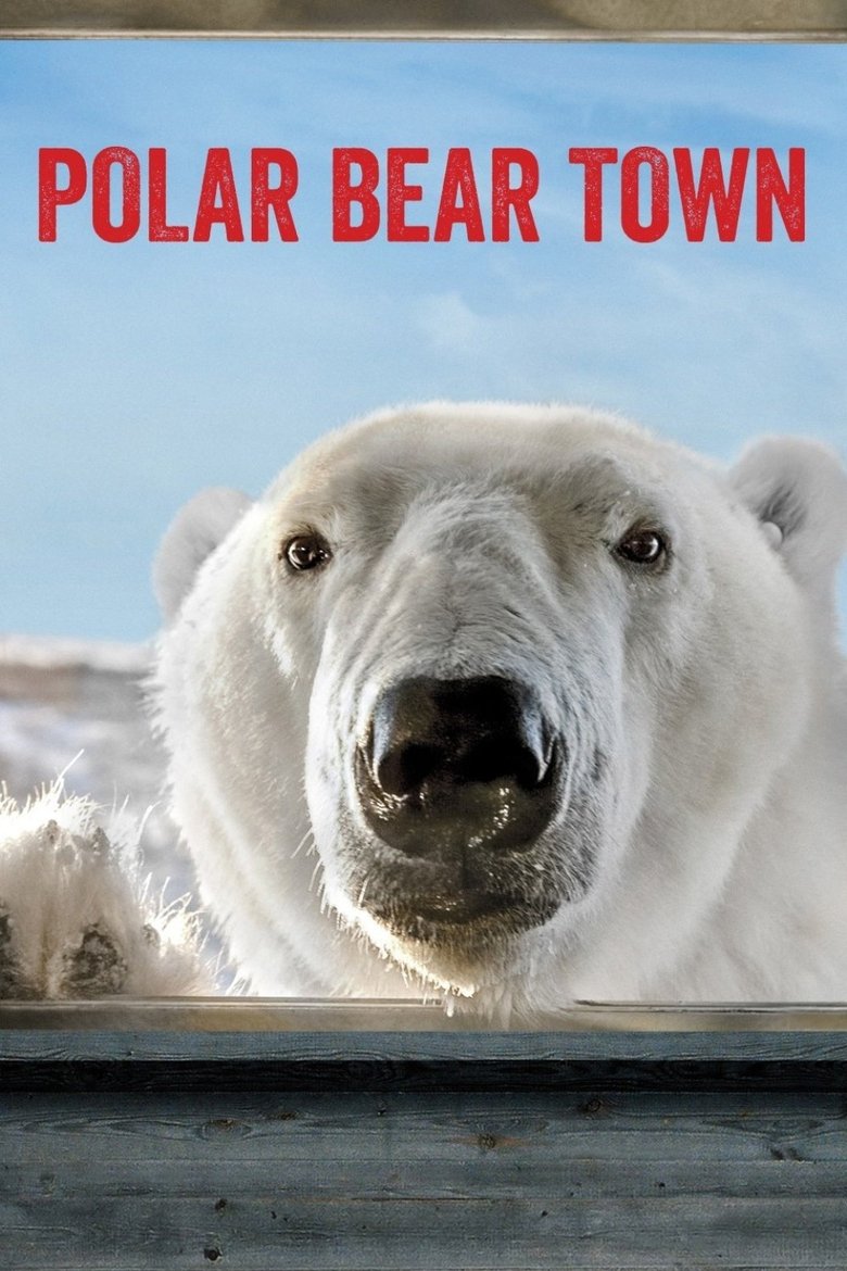 Poster of Polar Bear Town