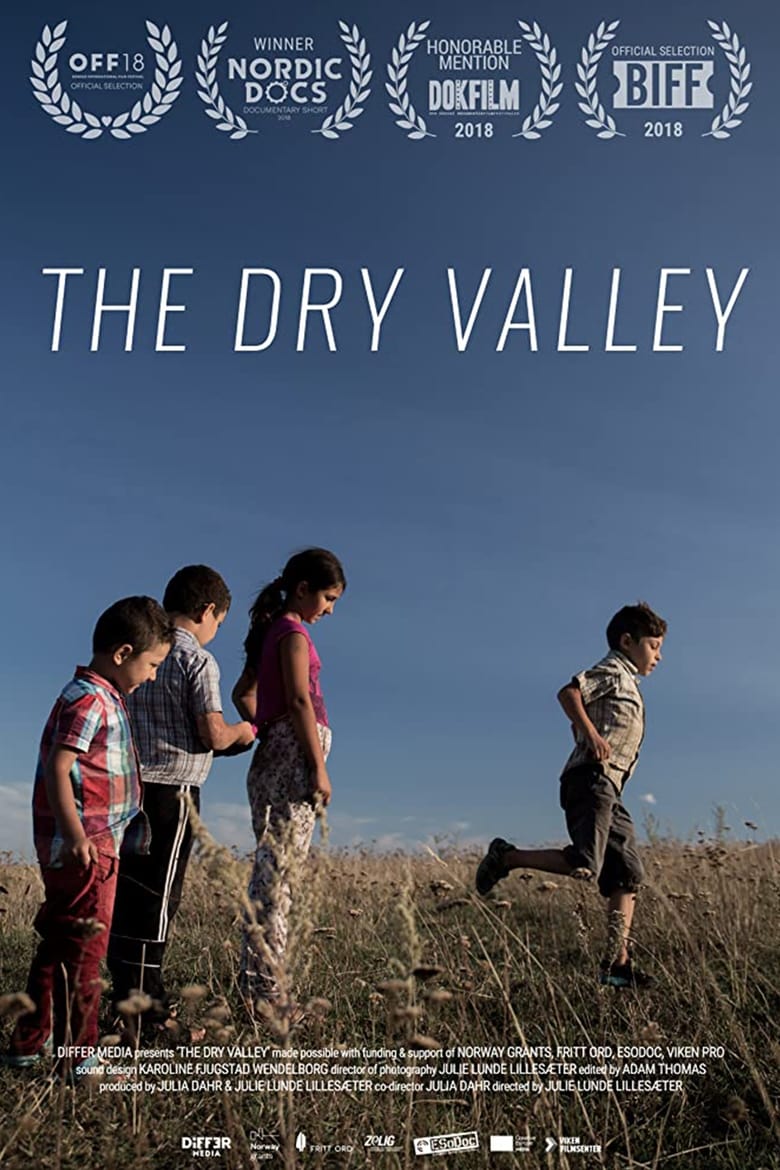 Poster of The Dry Valley