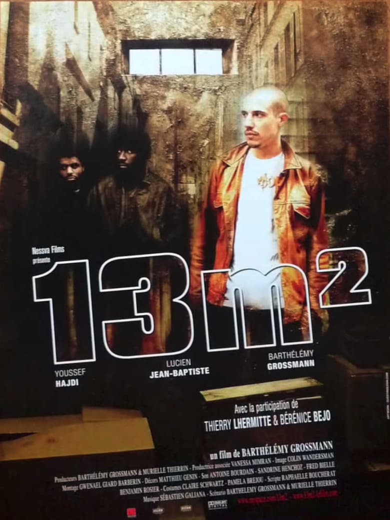 Poster of 13 m²