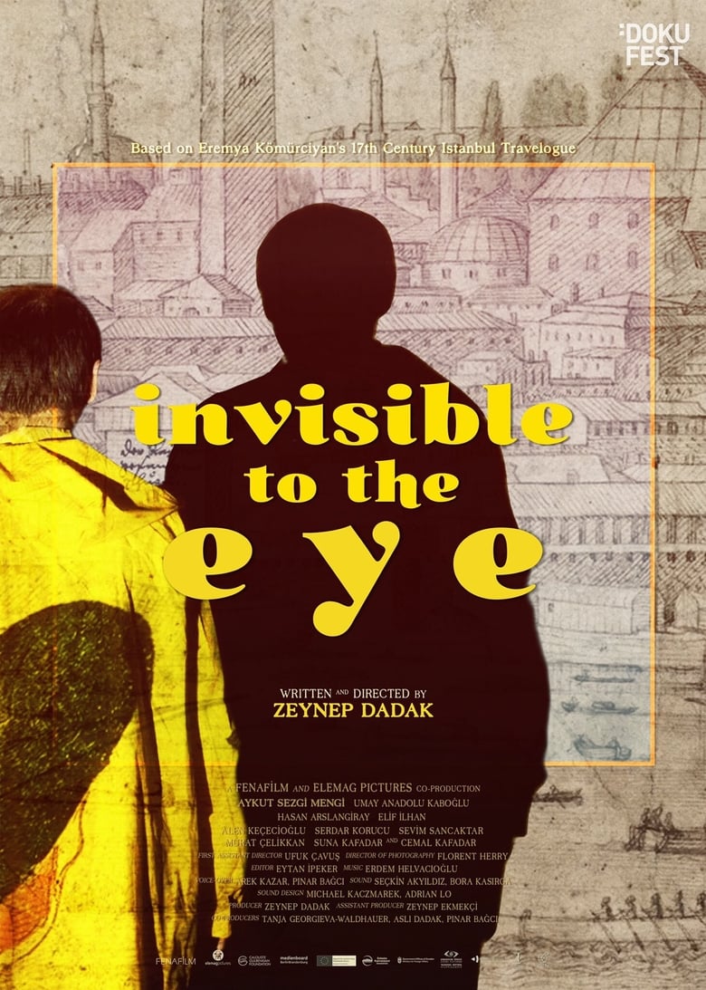 Poster of Invisible to the Eye