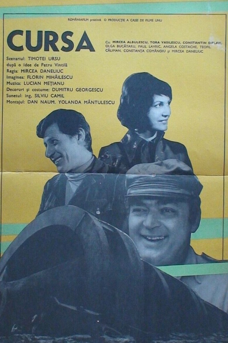 Poster of The Long Drive