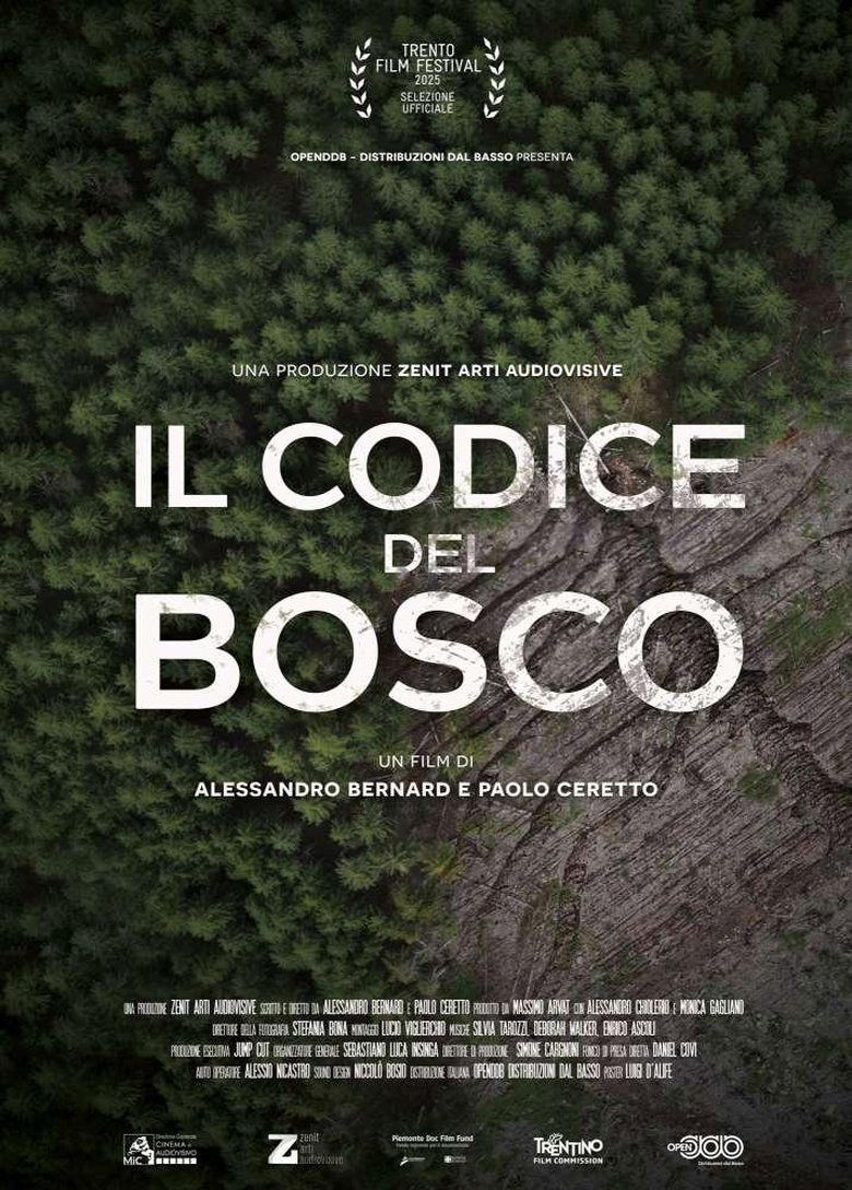 Poster of Il codice del bosco