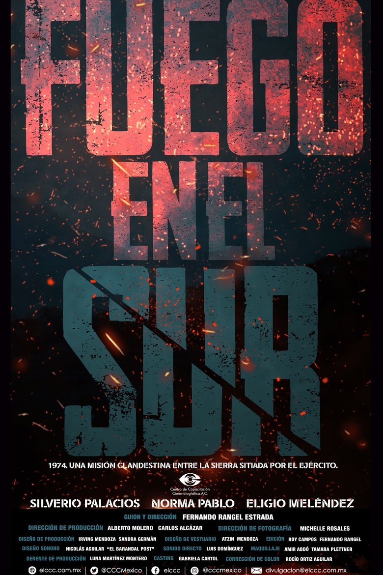 Poster of Fuego en el sur