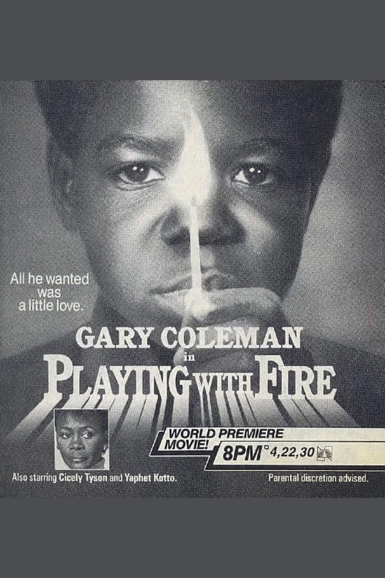 Poster of Playing with Fire