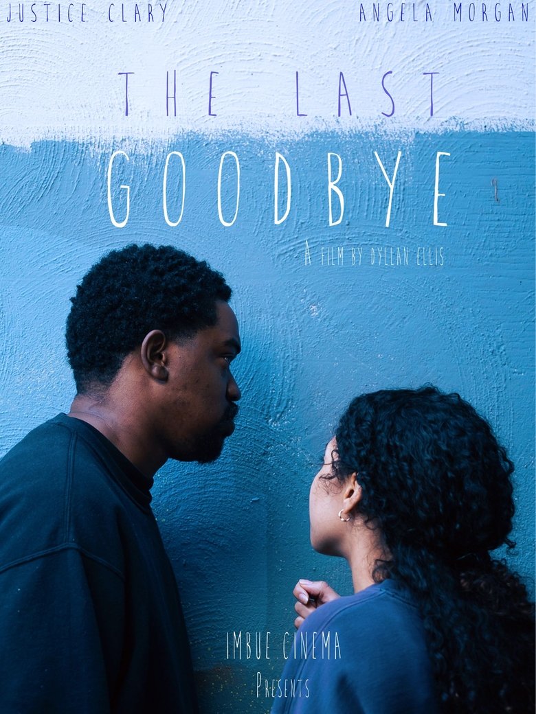 Poster of The Last Goodbye