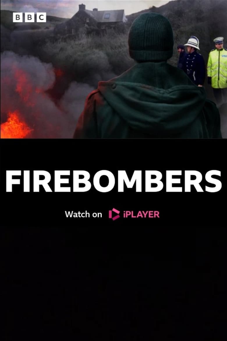 Poster of Firebombers