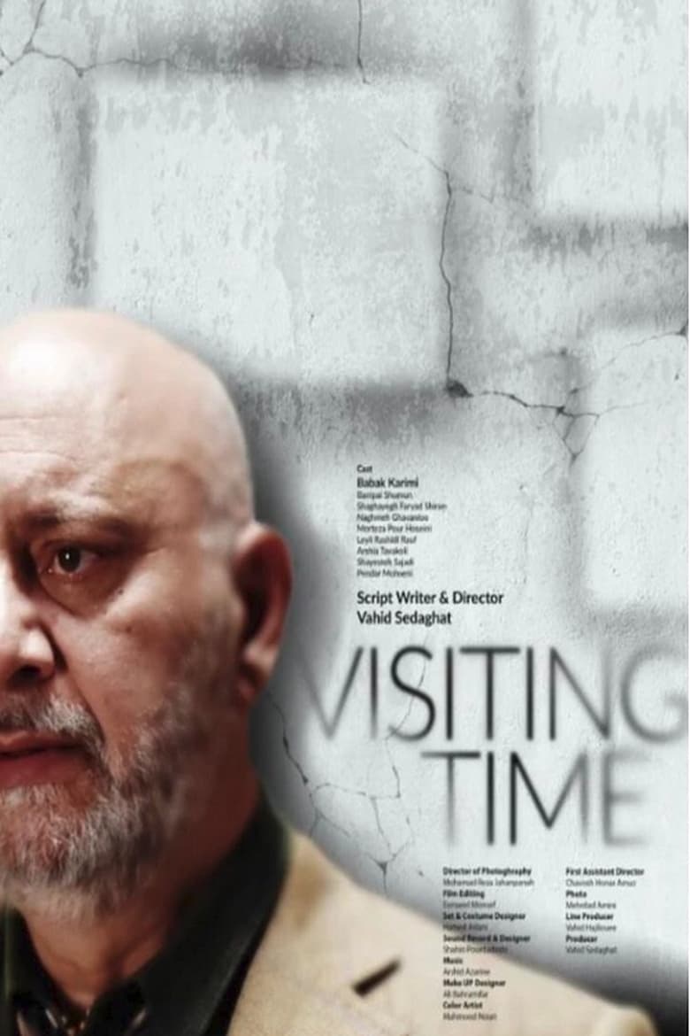 Poster of Visiting Time