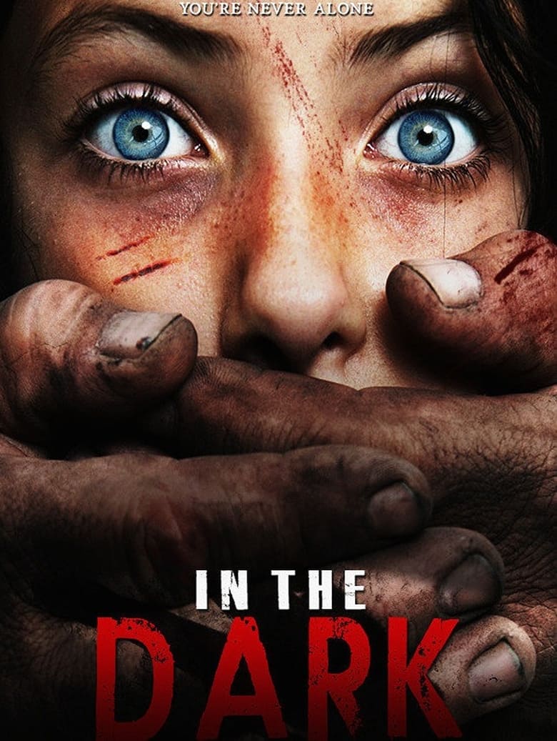 Poster of In the Dark