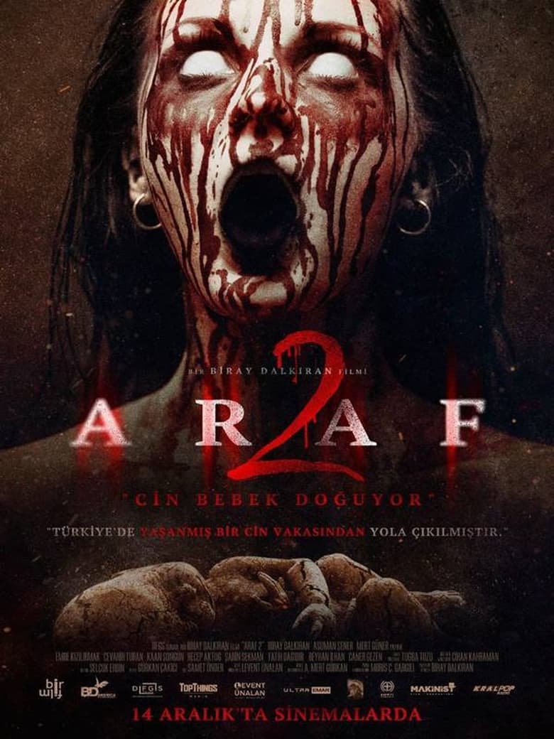 Poster of Araf 2