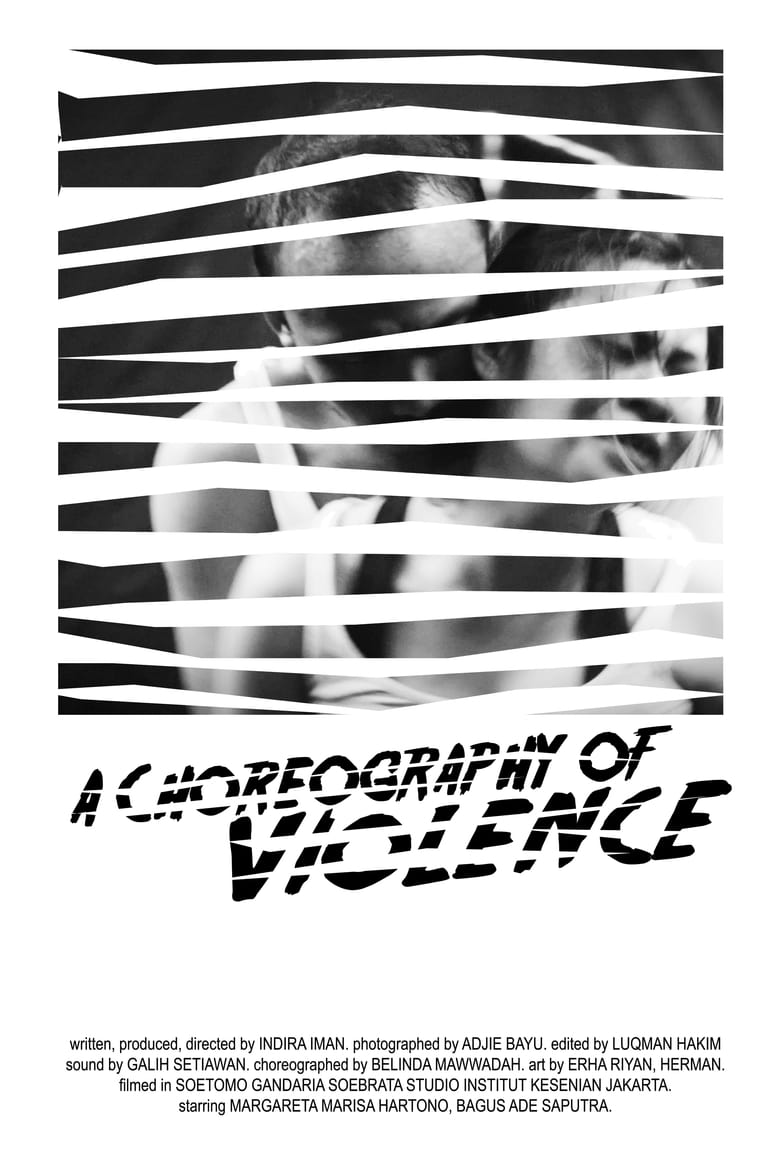 Poster of A Choreography of Violence