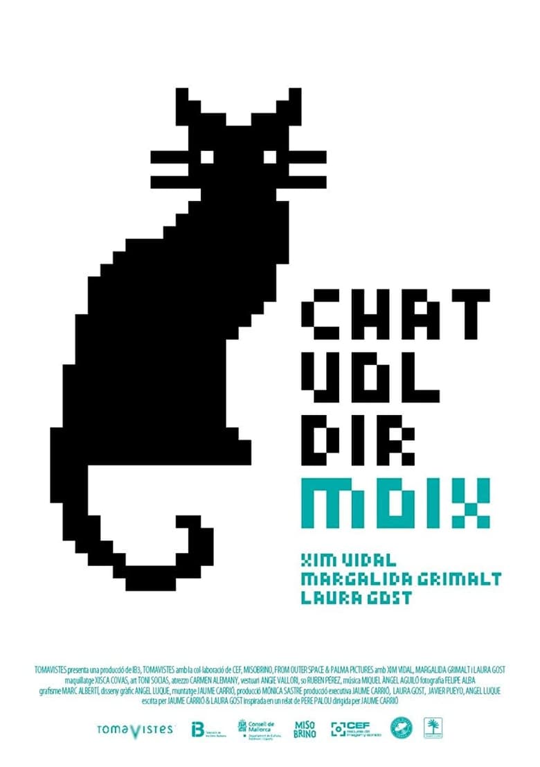 Poster of Chat vol dir moix