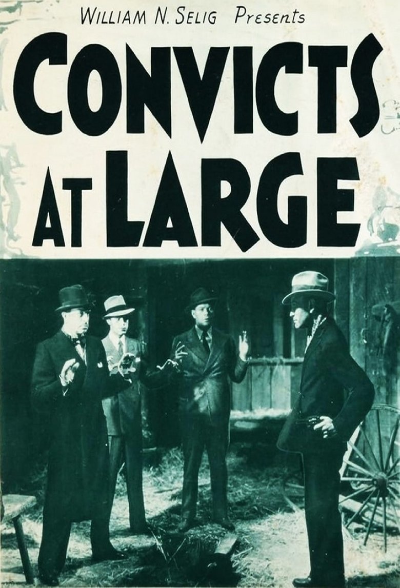 Poster of Convicts at Large