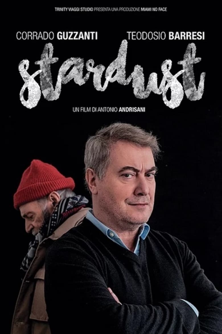 Poster of Stardust