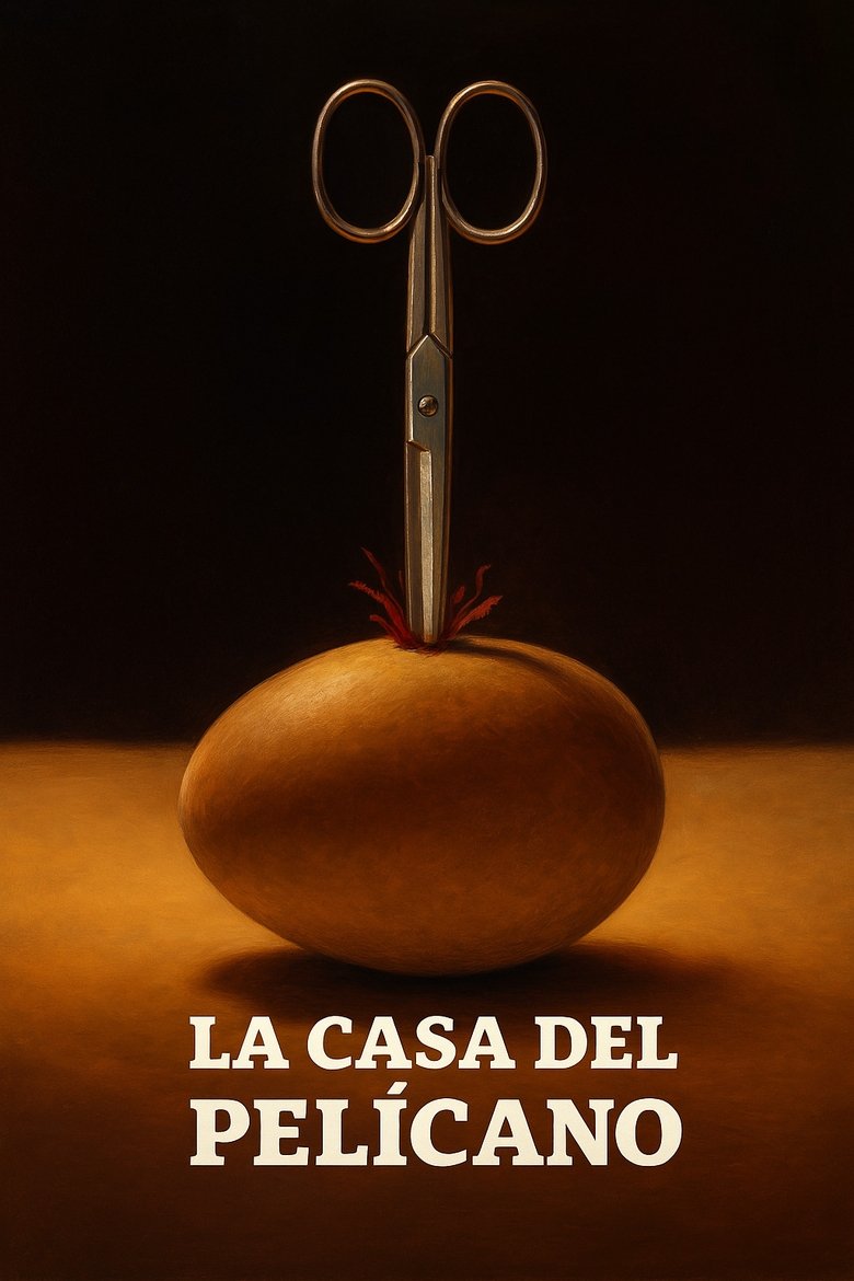 Poster of The House of the Pelican