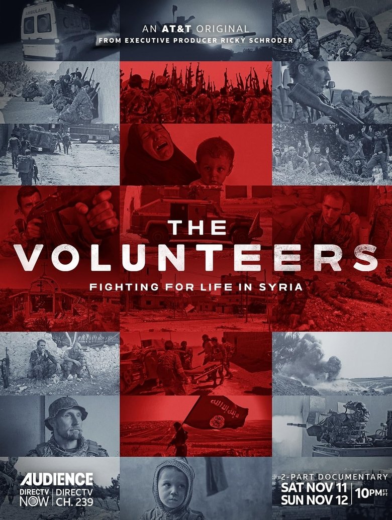 Poster of The Volunteers