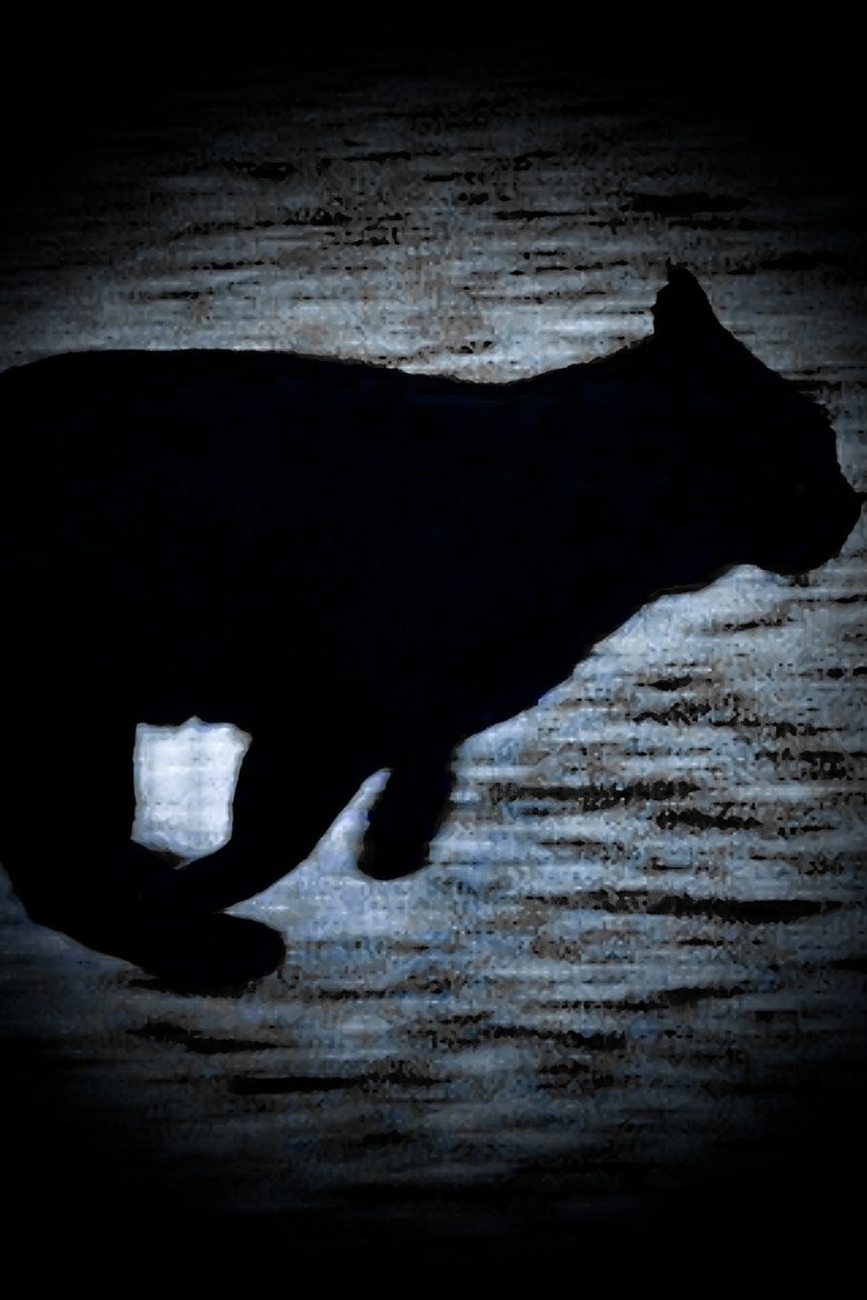 Poster of A Black Cat Escapes