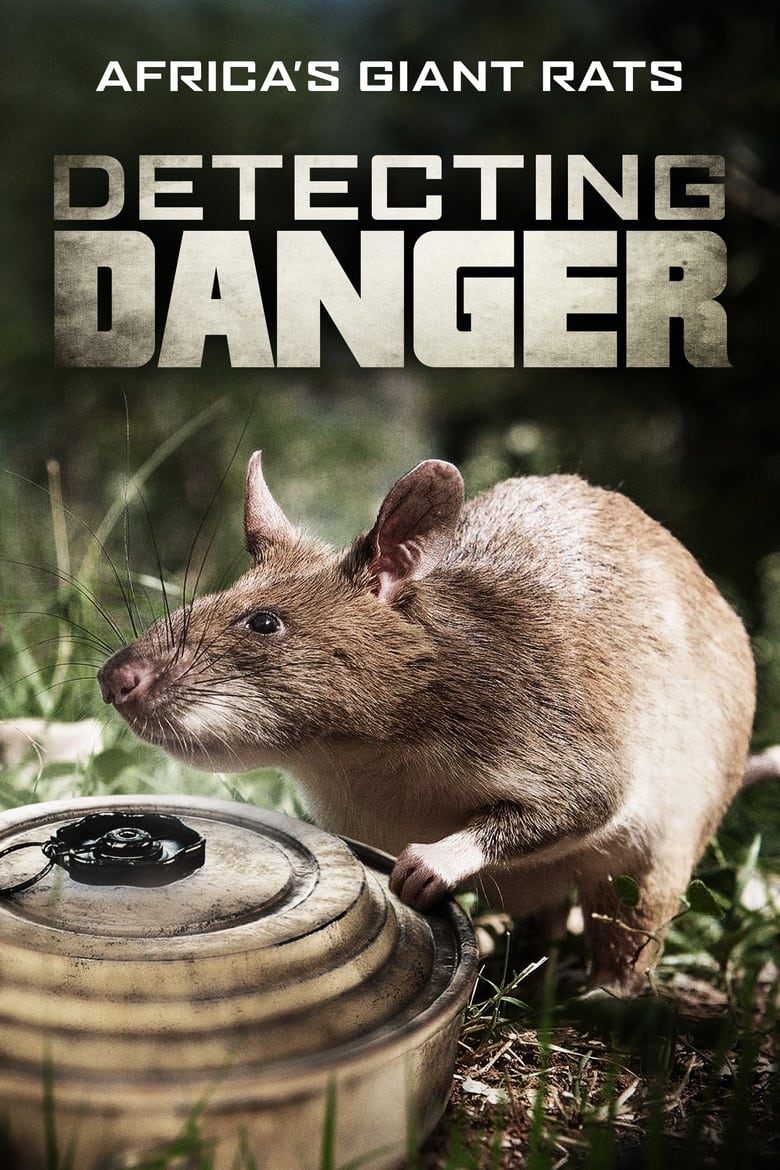 Poster of Detecting Danger: Africa's Giant Rats