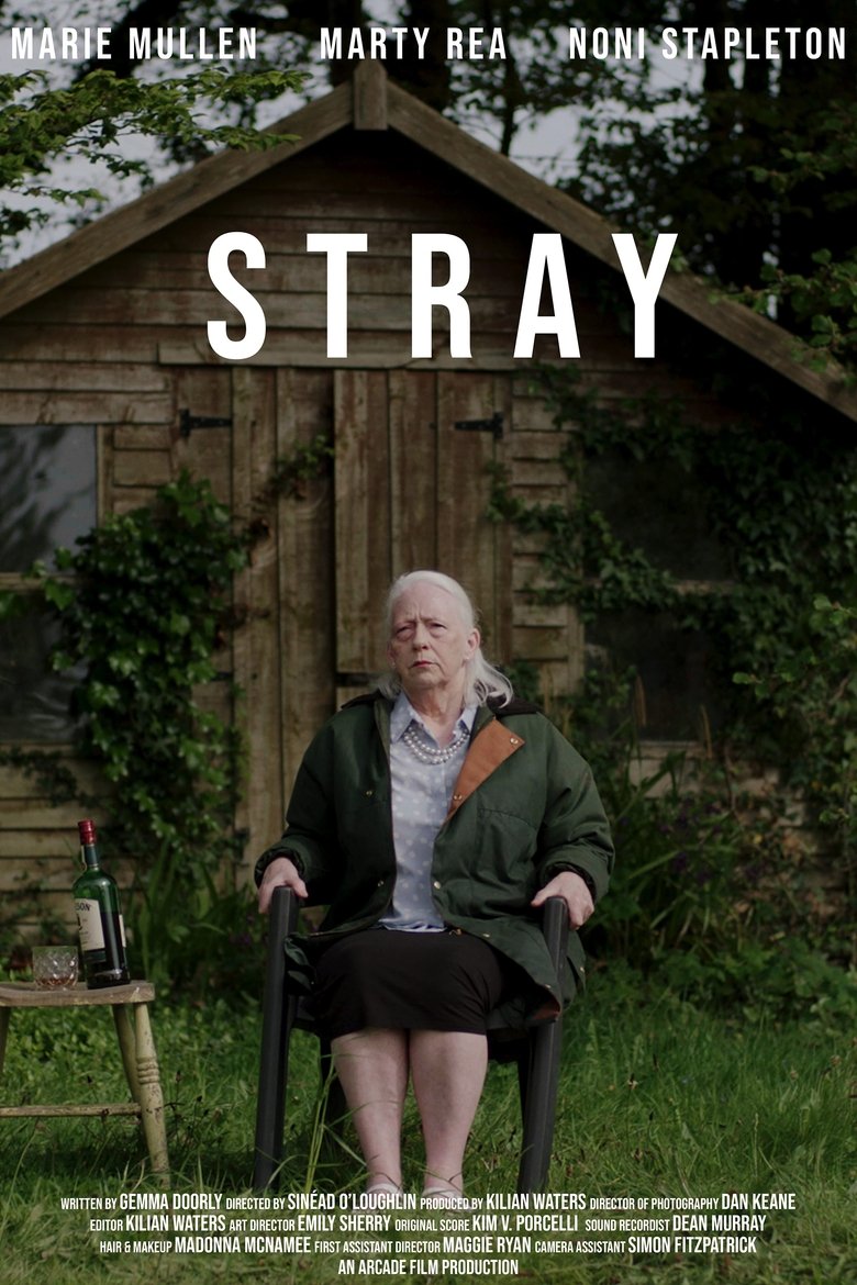 Poster of Stray