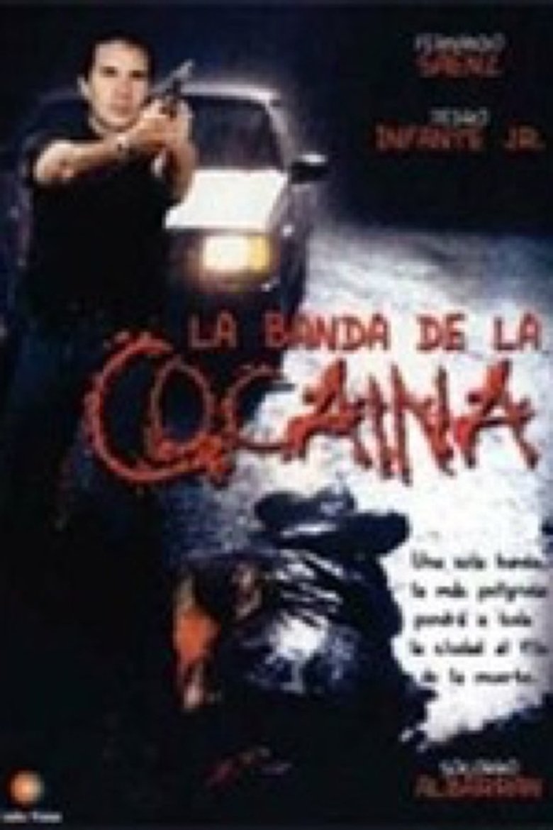 Poster of Un ingeniero en la capital