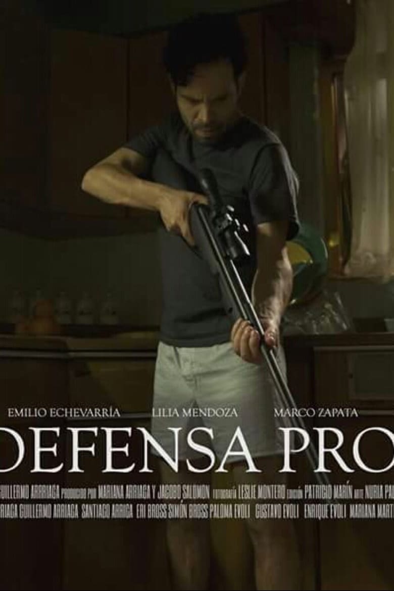 Poster of In Self Defense