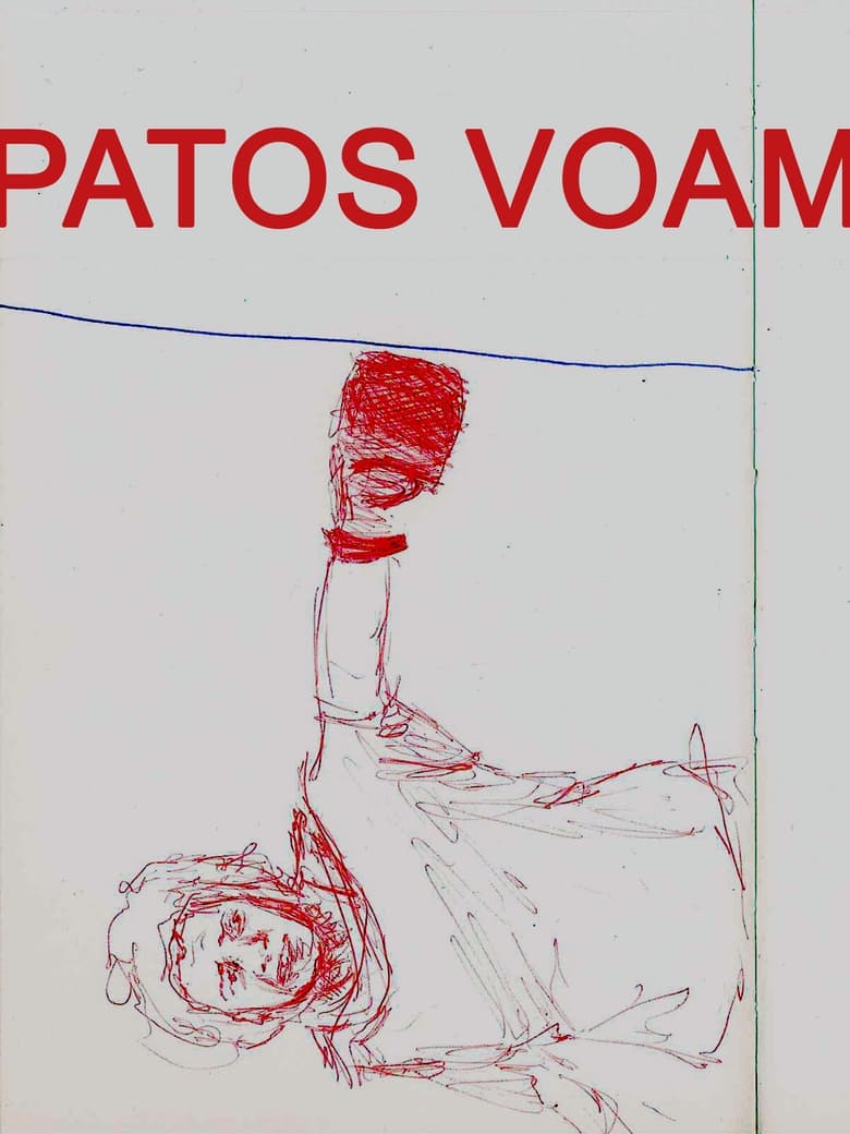 Poster of Patos Voam