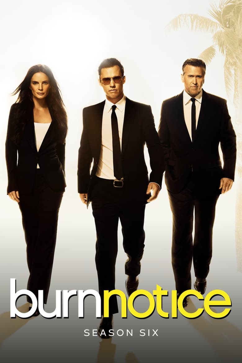 Poster of Cast and Crew in Burn Notice - Season 6 - Episode 18 - Game Change