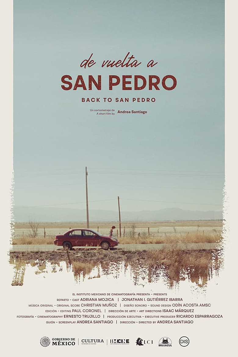 Poster of De vuelta a San Pedro