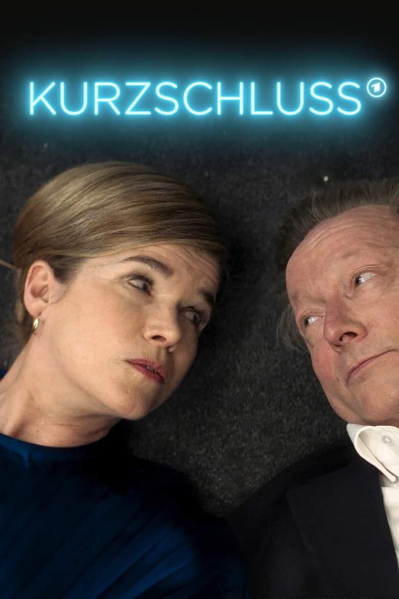 Poster of Kurzschluss