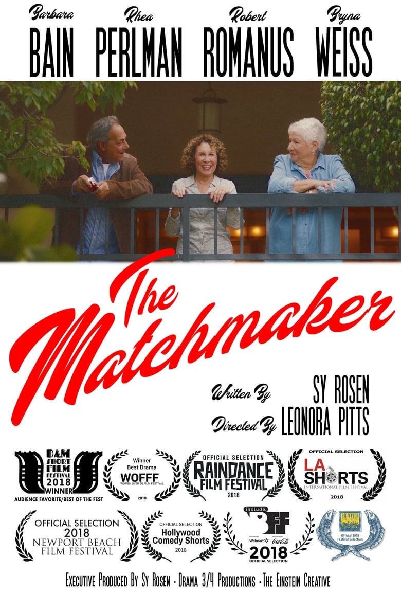 Poster of The Matchmaker