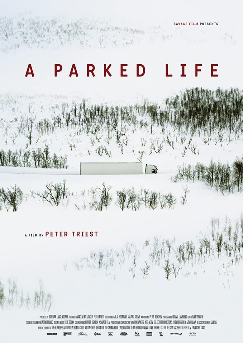 Poster of A Parked Life