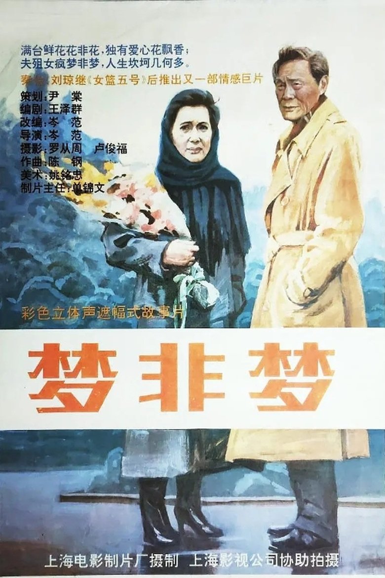Poster of 梦非梦