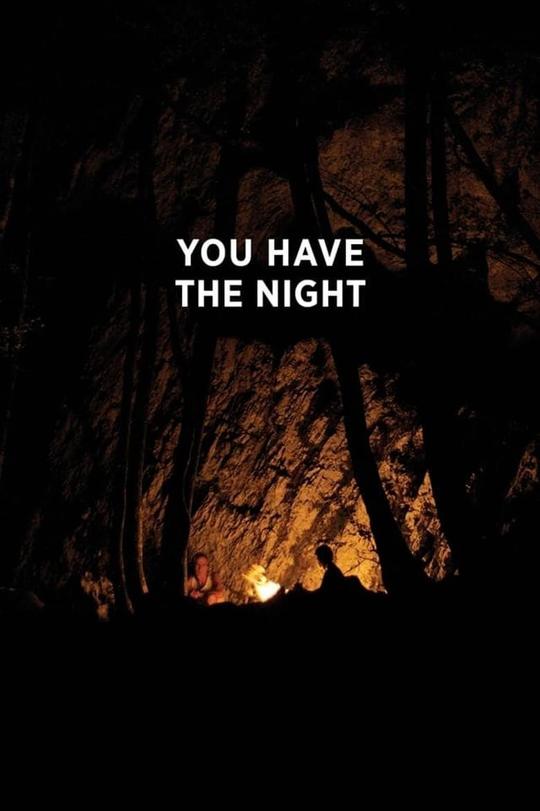 Poster of You Have the Night