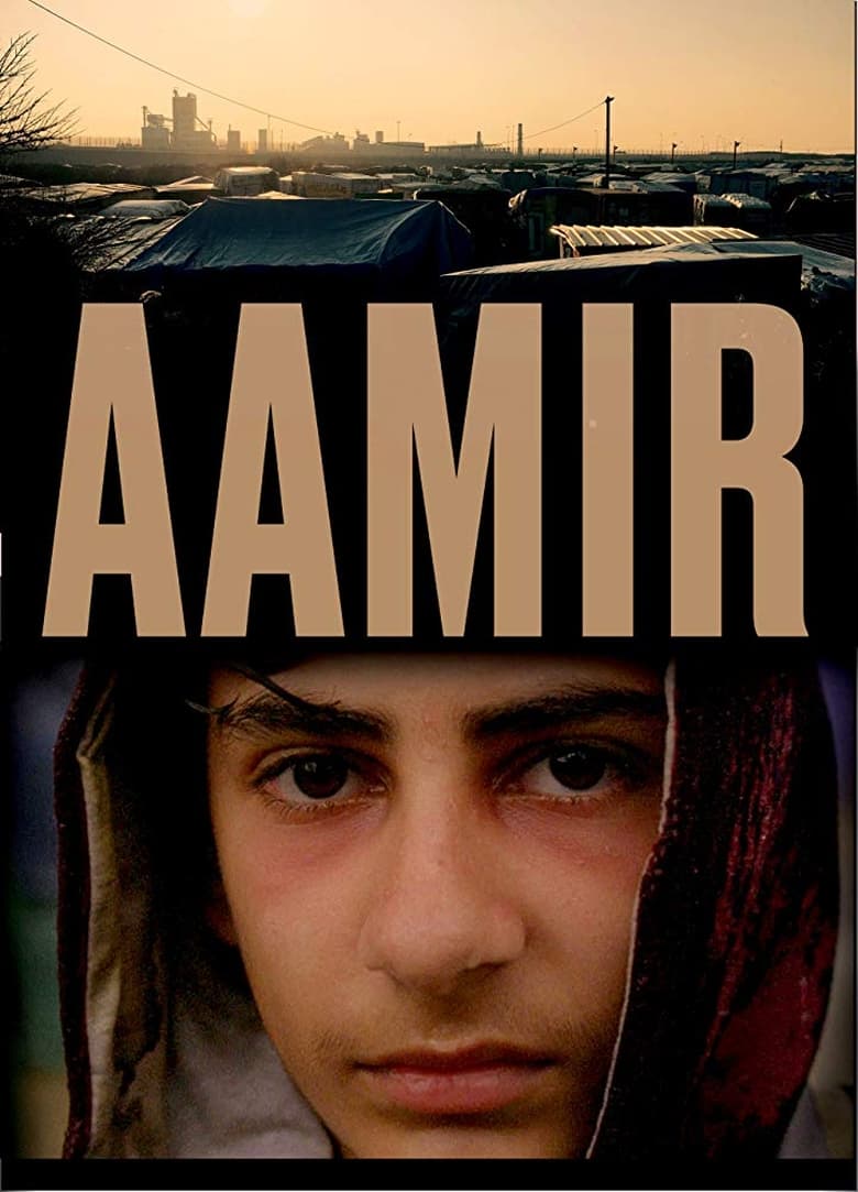 Poster of Aamir