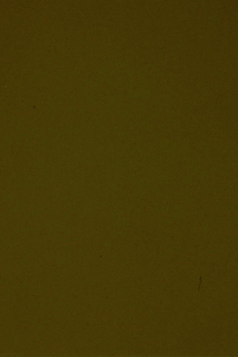 Poster of Black Movie II