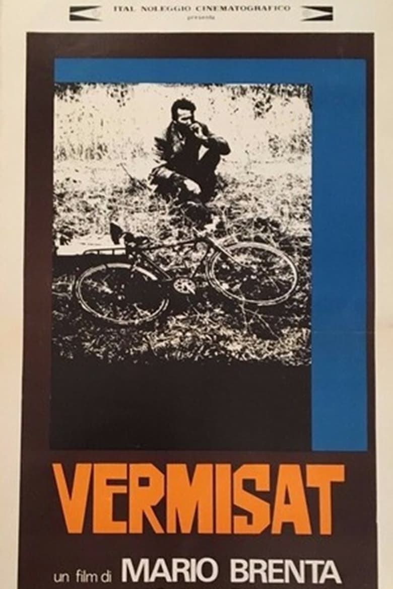 Poster of Vermisat